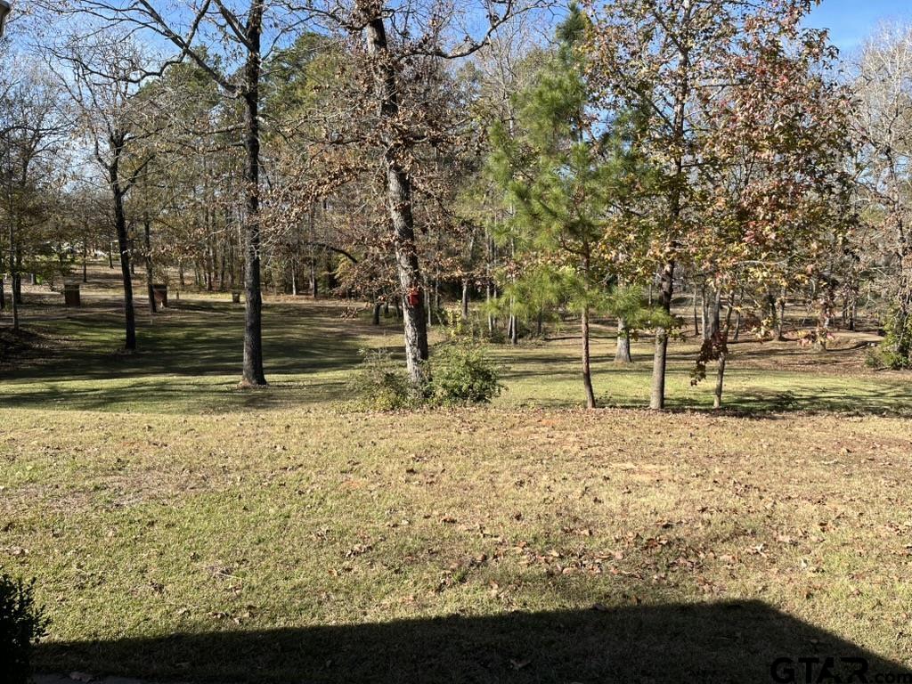 Palestine, Texas 75803, United States, 3 Bedrooms Bedrooms, ,3 BathroomsBathrooms,Residential,Active,254406