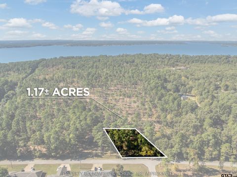 0 Pintail Flint TX 75762