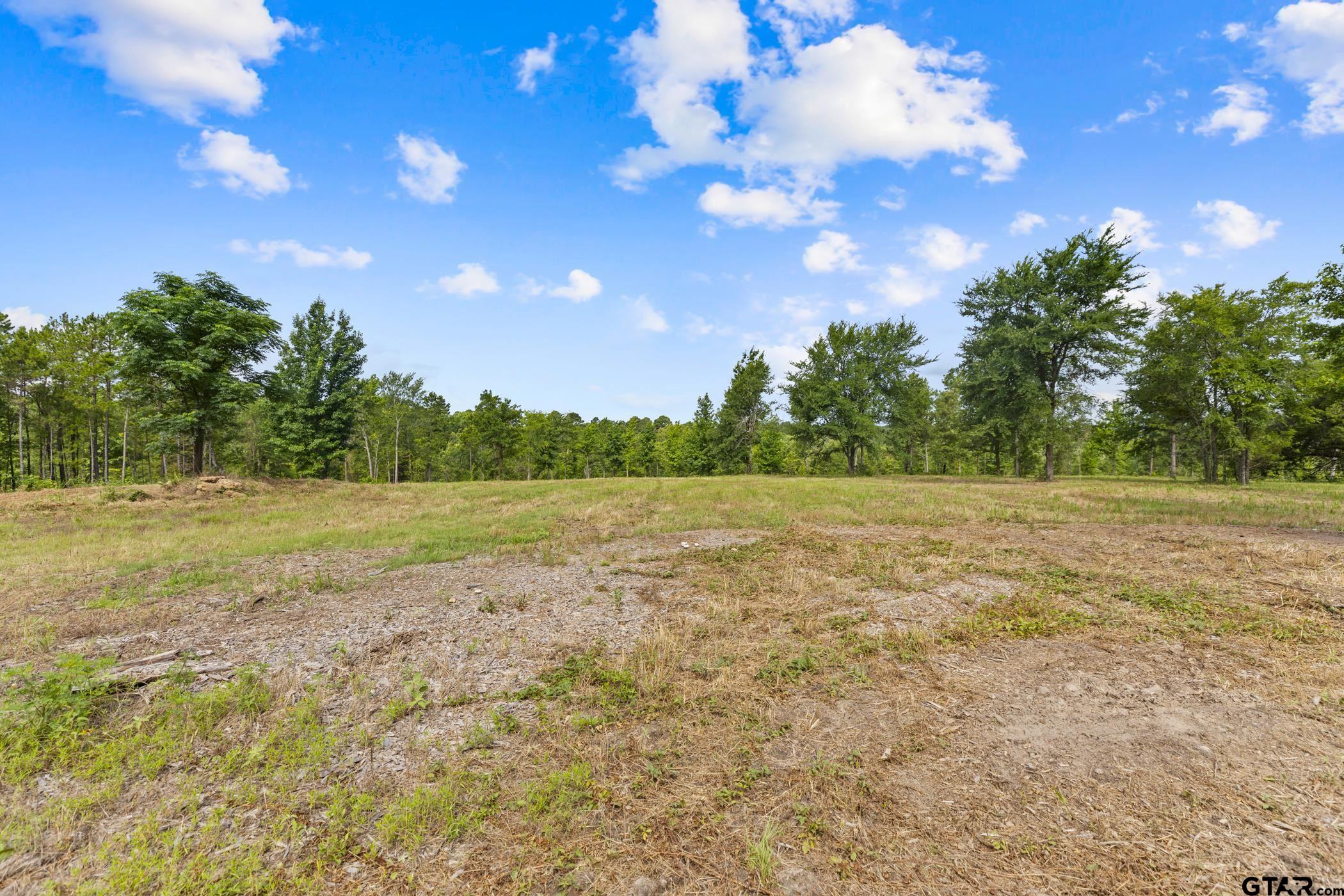 TBD County Road 4112 Lot 2