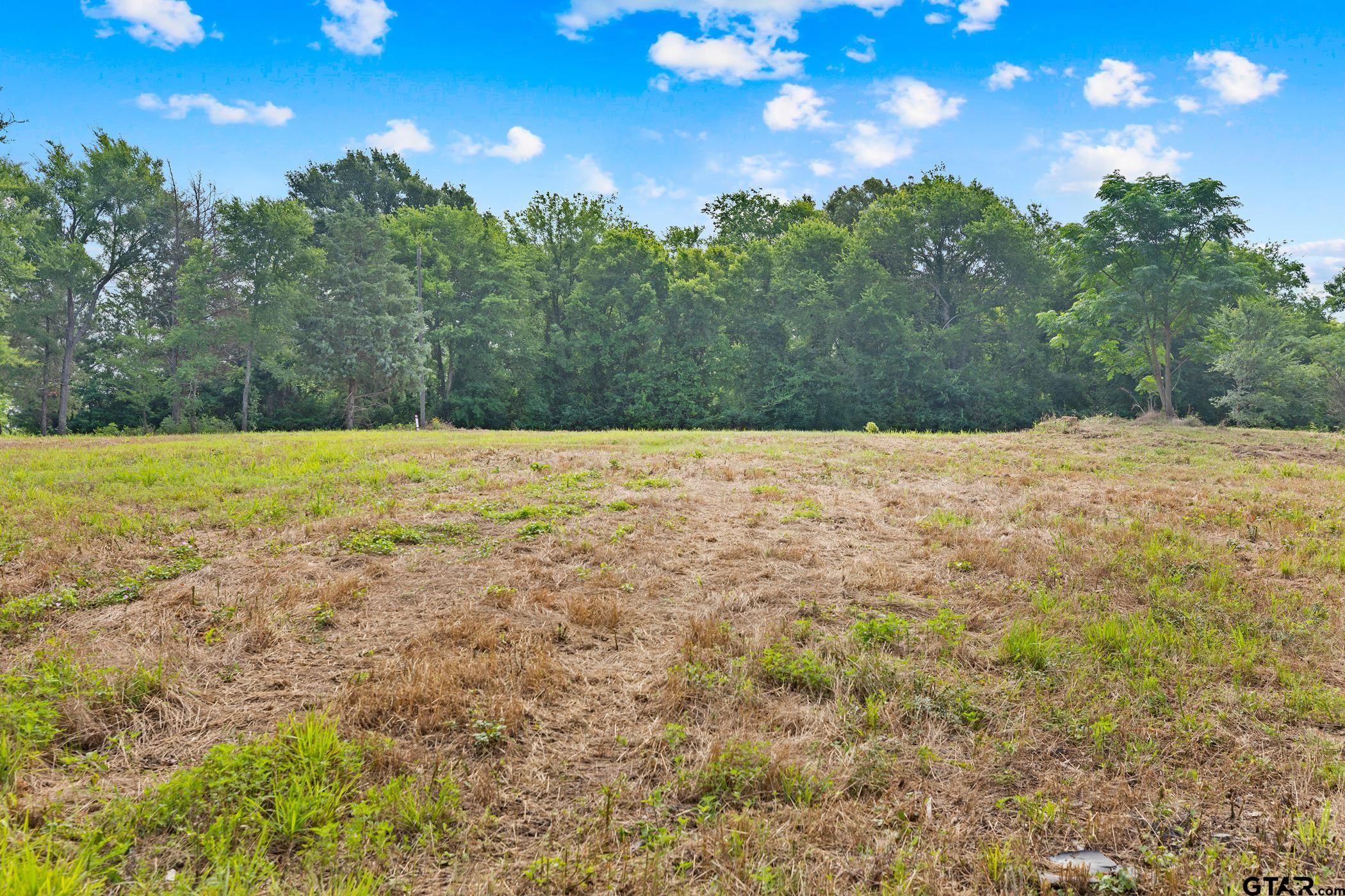 TBD County Road 4112 Lot 2