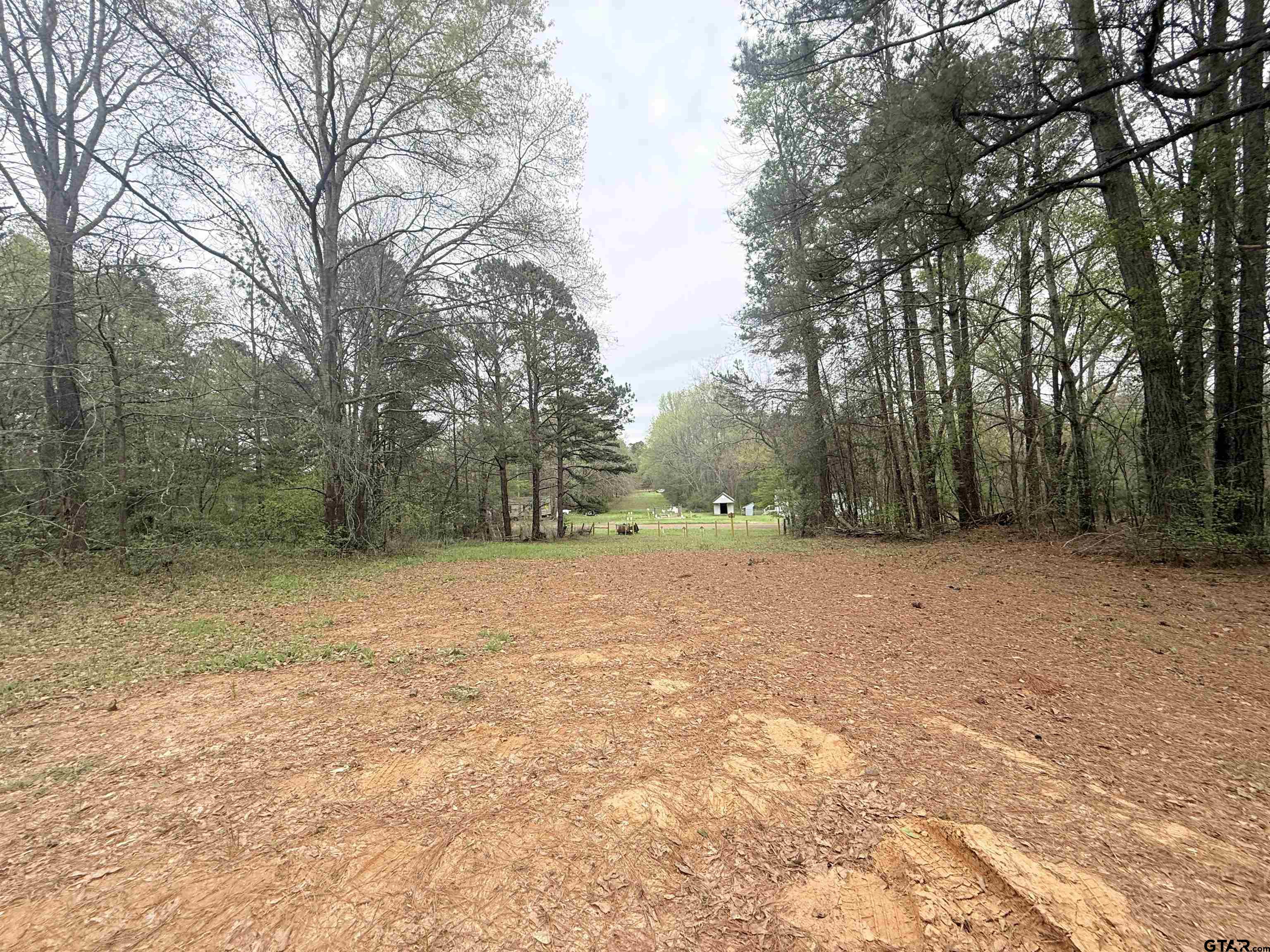 10933 County Road 384