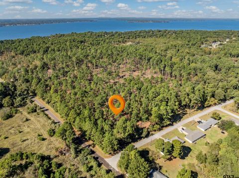 0 Pintail Flint TX 75762