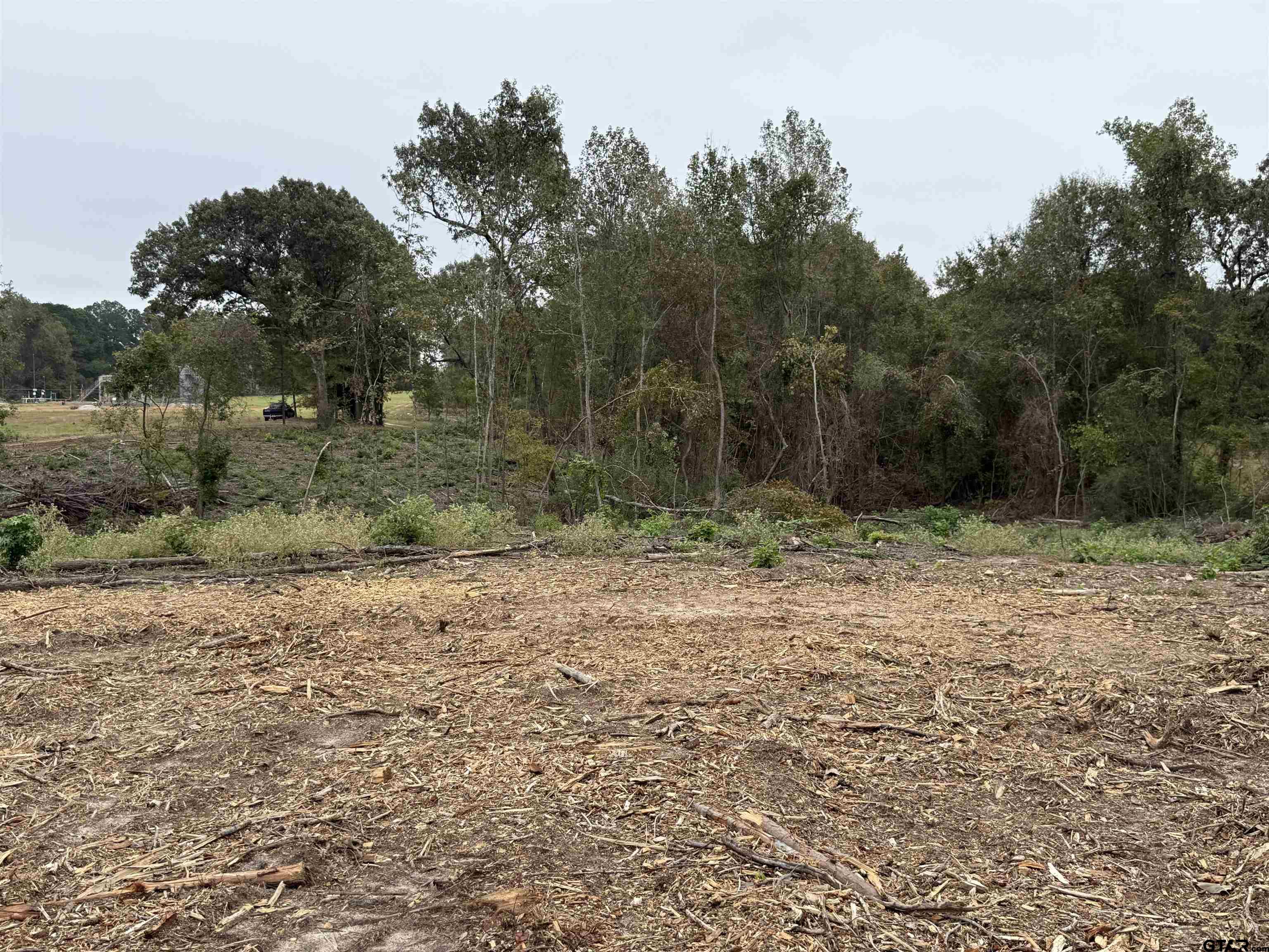 TBD CR 314 15.36 acres