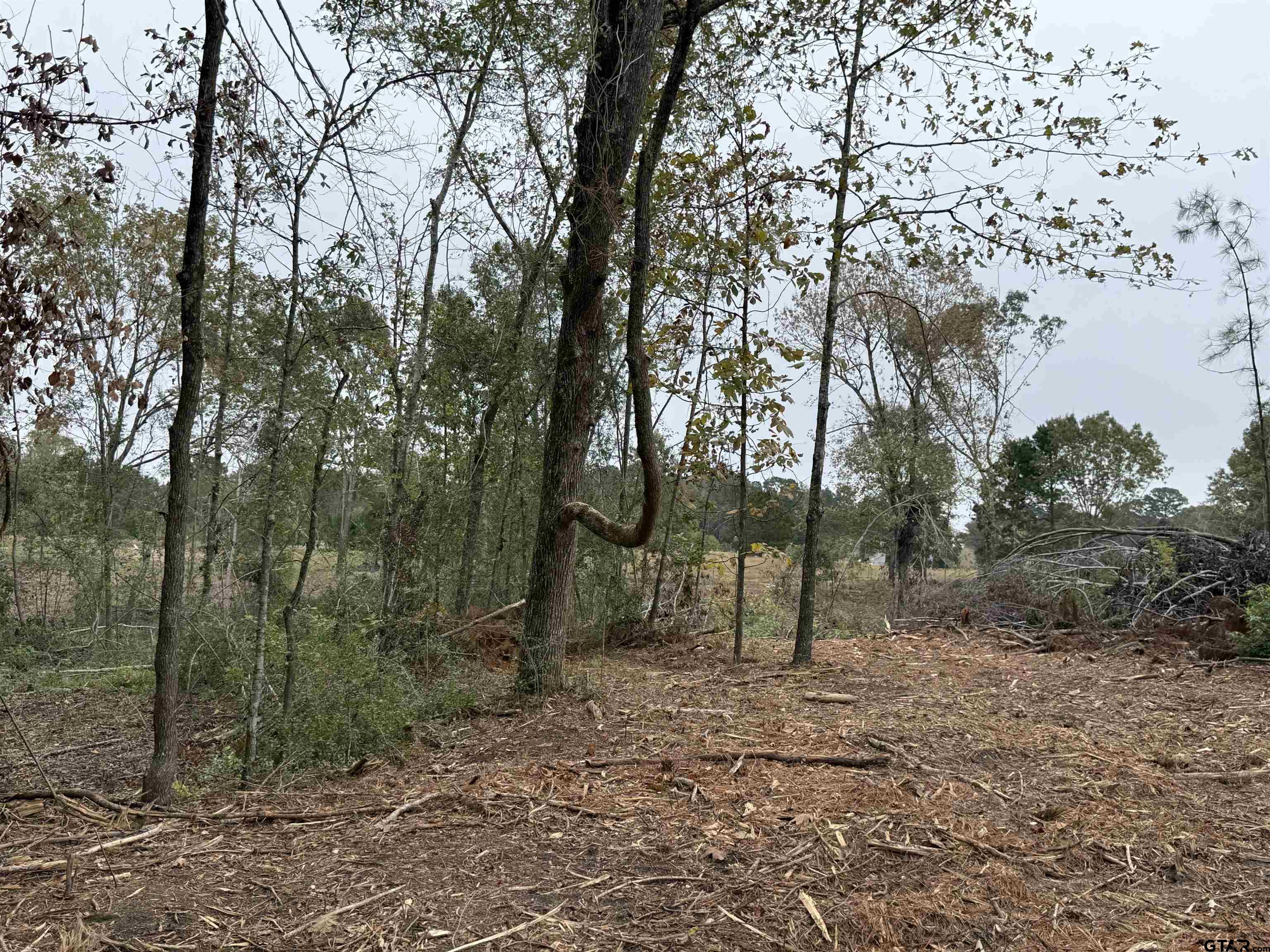 TBD CR 314 15.36 acres