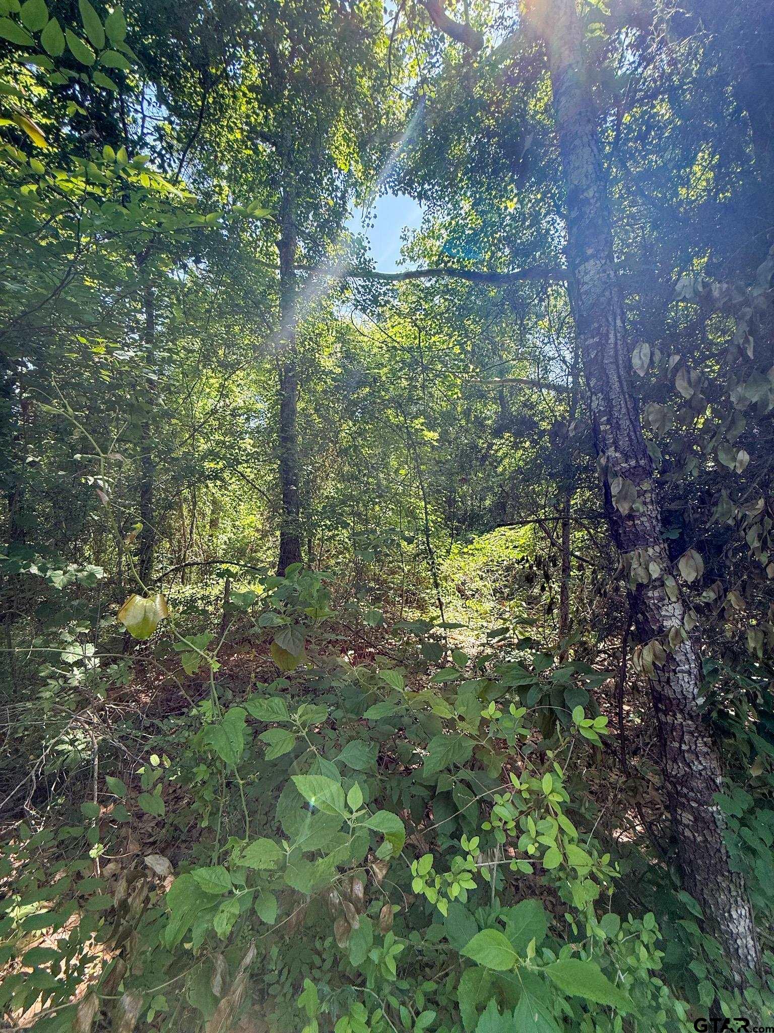 1329 C R 2112