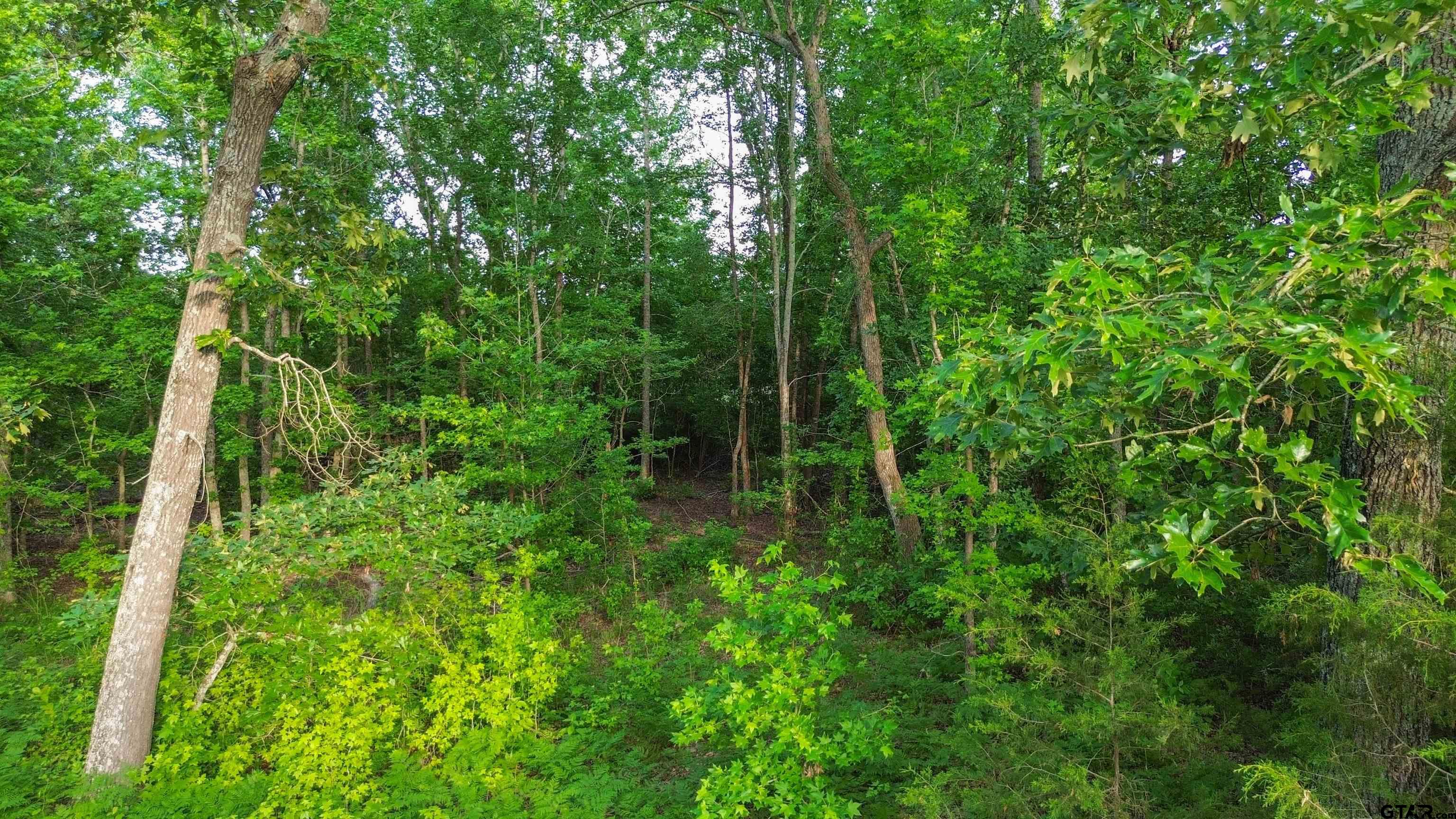 7363 Sandy Hill Ln