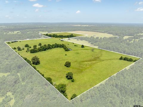 0 E US HIGHWAY 84 (TRACT TWO) Palestine TX 75801