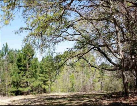 19201 Hwy 110 Whitehouse TX 75791