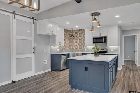 14668 CR 173 N Kilgore TX 75662