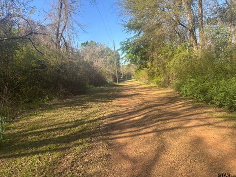 TBD Maloney Pittsburg TX 75686