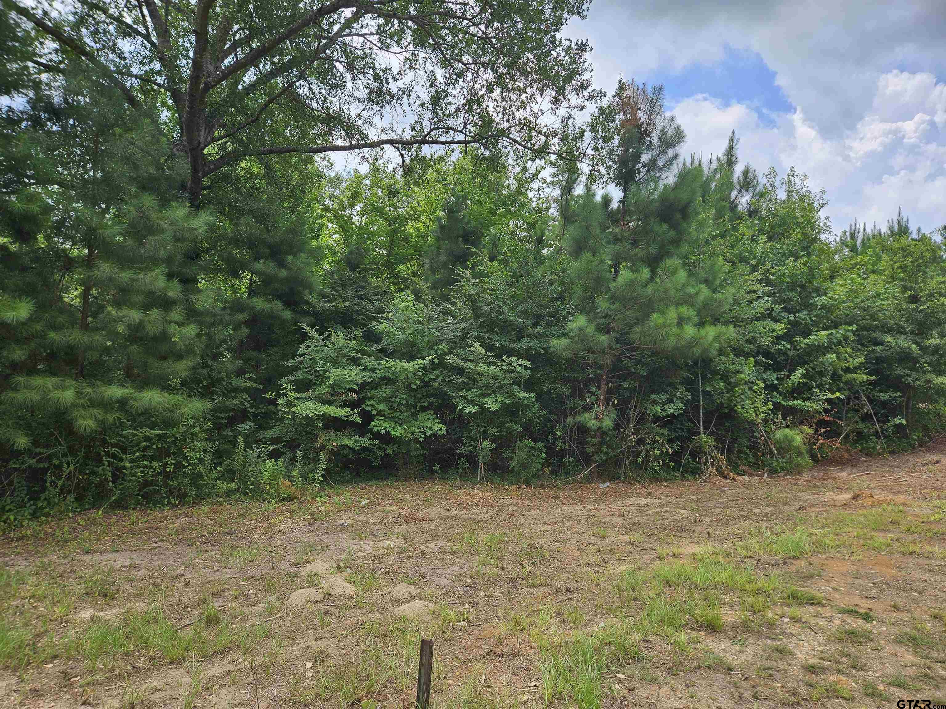 1225 County Rd 317