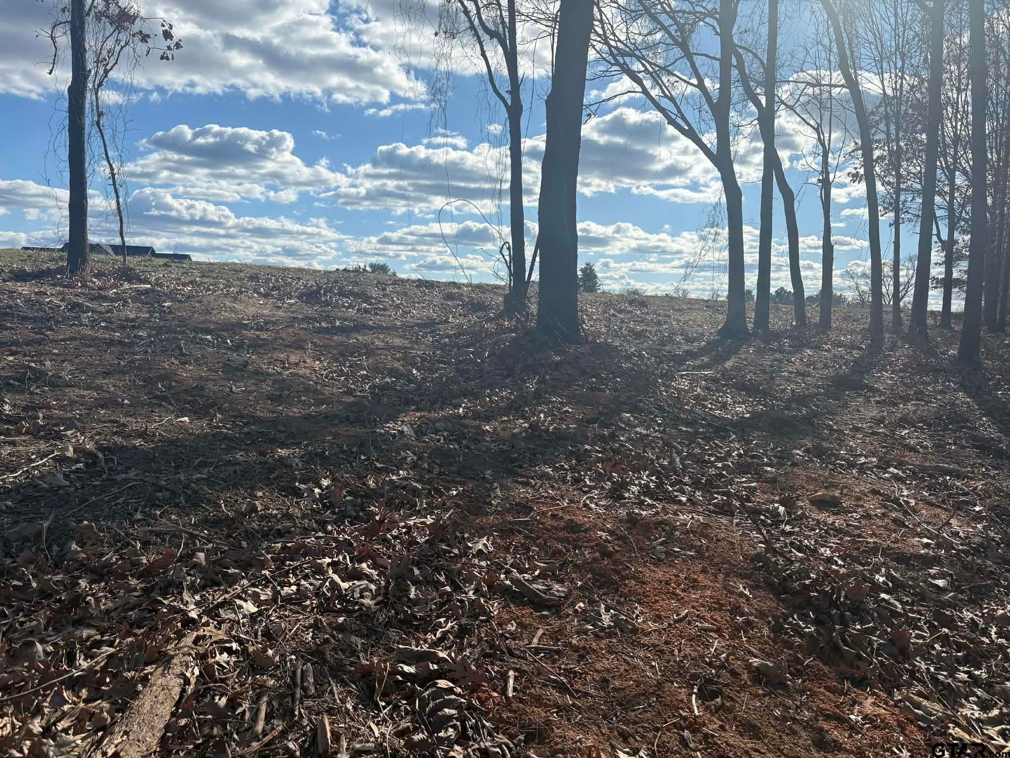 LOT 71 PR 2712