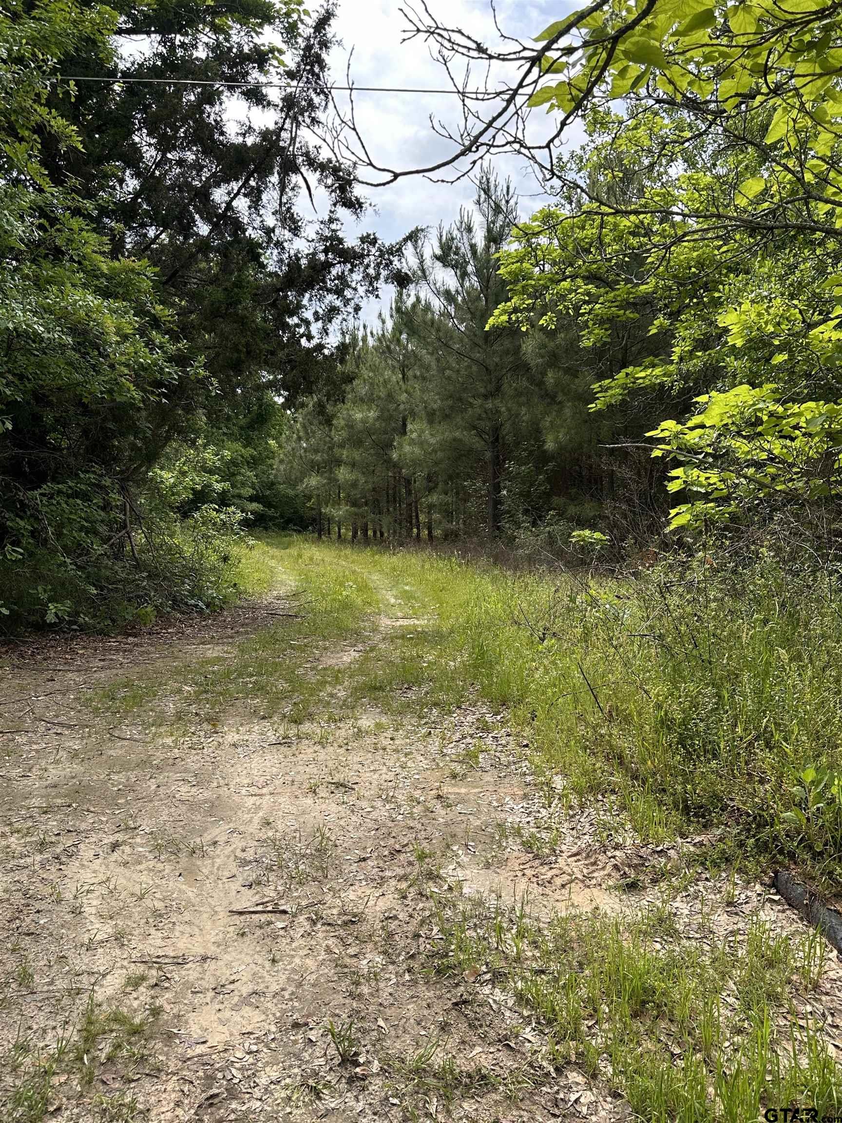 001 George Richey Road