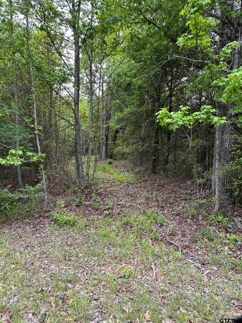 001 George Richey Road Longview TX 75605