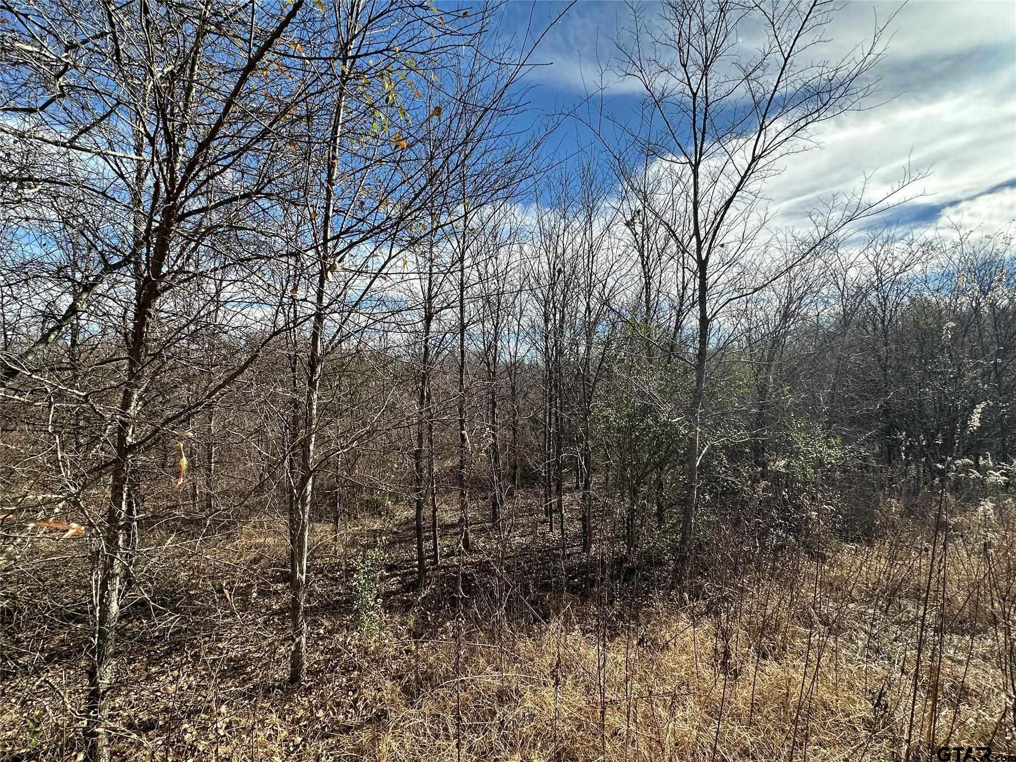 0000 County Road 2324