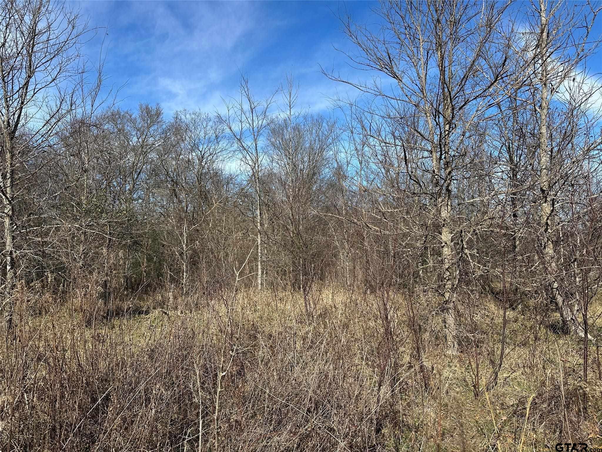 0000 County Road 2324