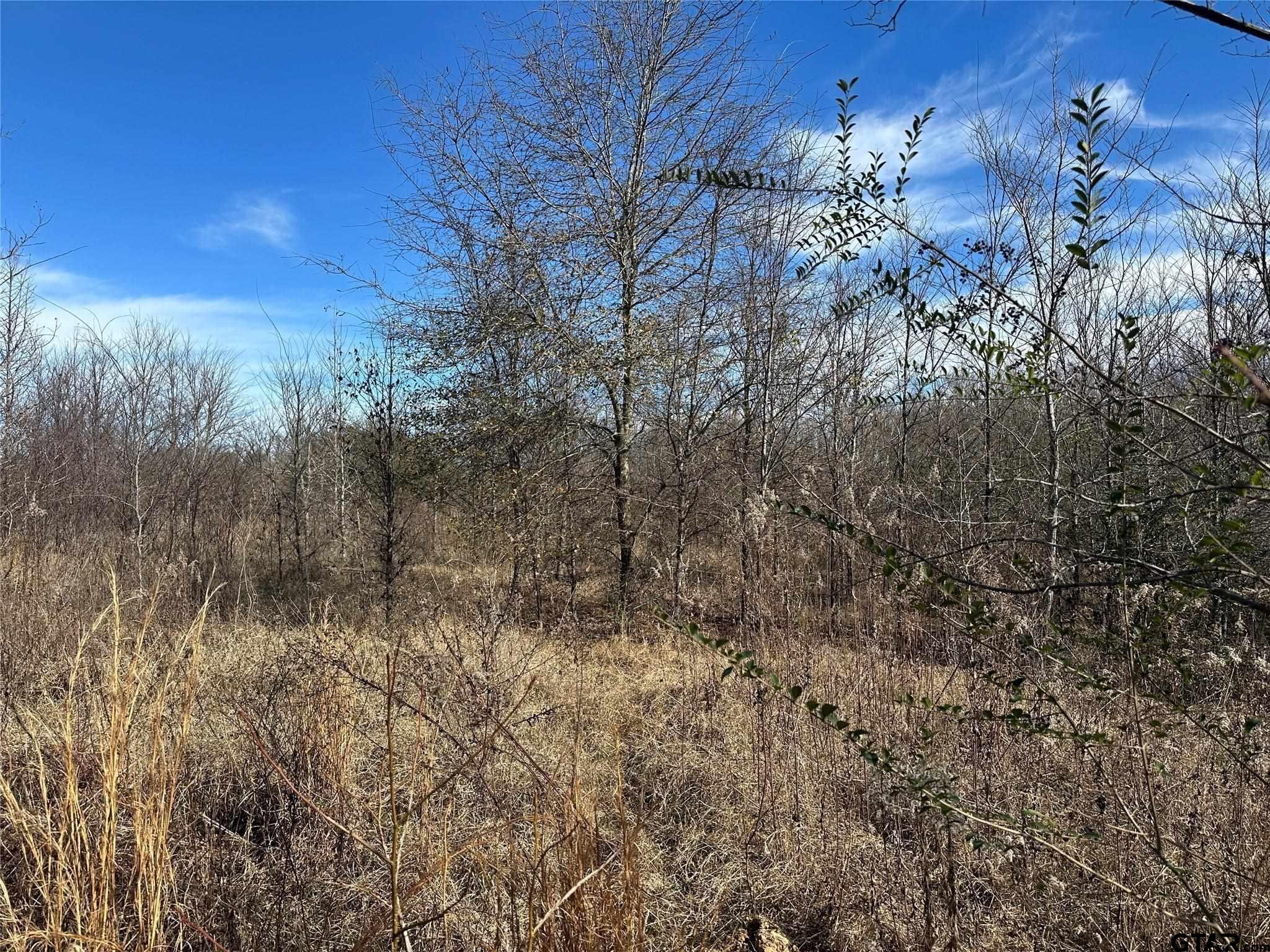 0000 County Road 2324