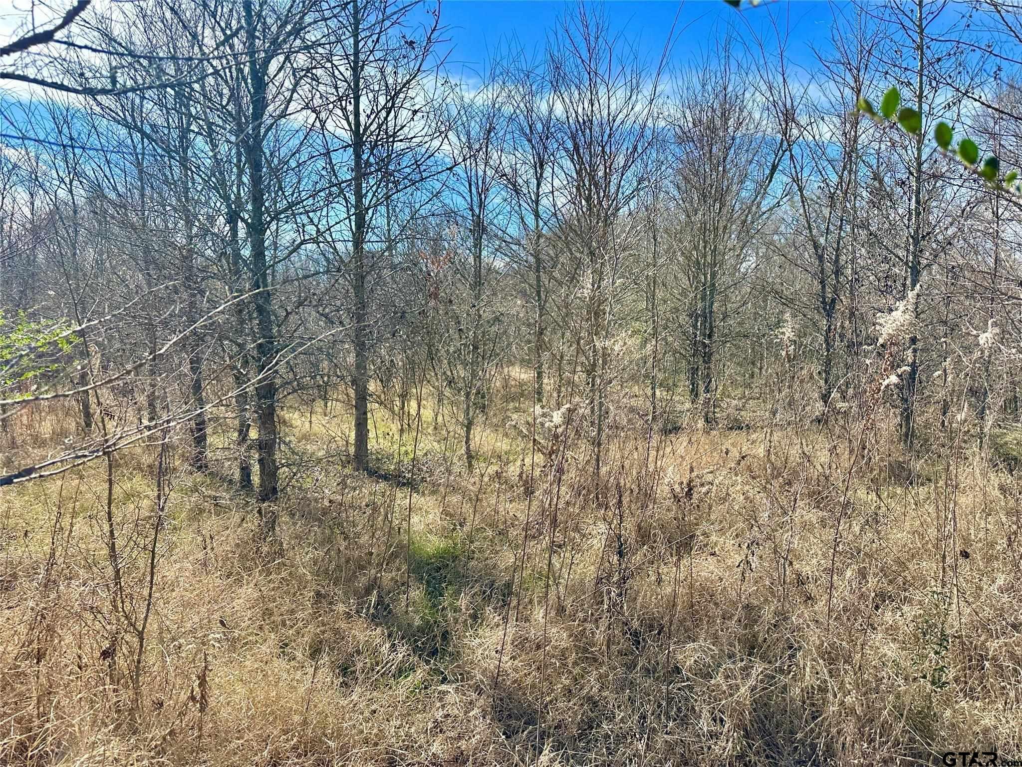 0000 County Road 2324