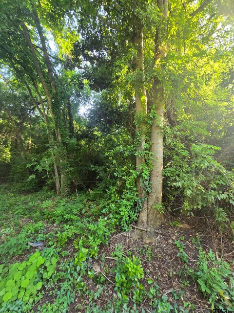 309 Monroe Henderson TX 75652