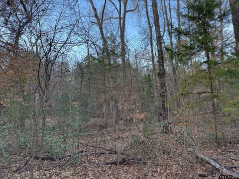 12415 County Road 217 Arp TX 75750