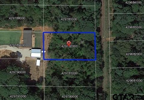 1061 San Saba Street Bullard TX 75757