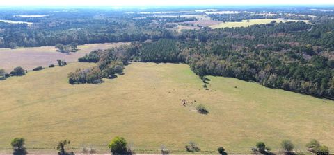 485 PR 6142 Grapeland TX 75844