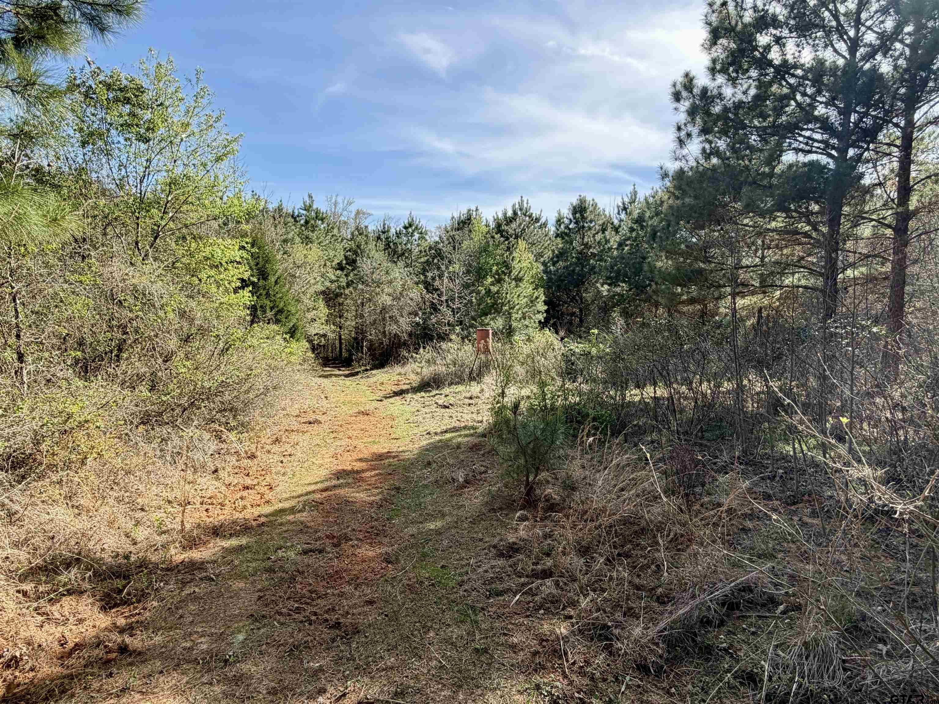 TBD Cactus Rd