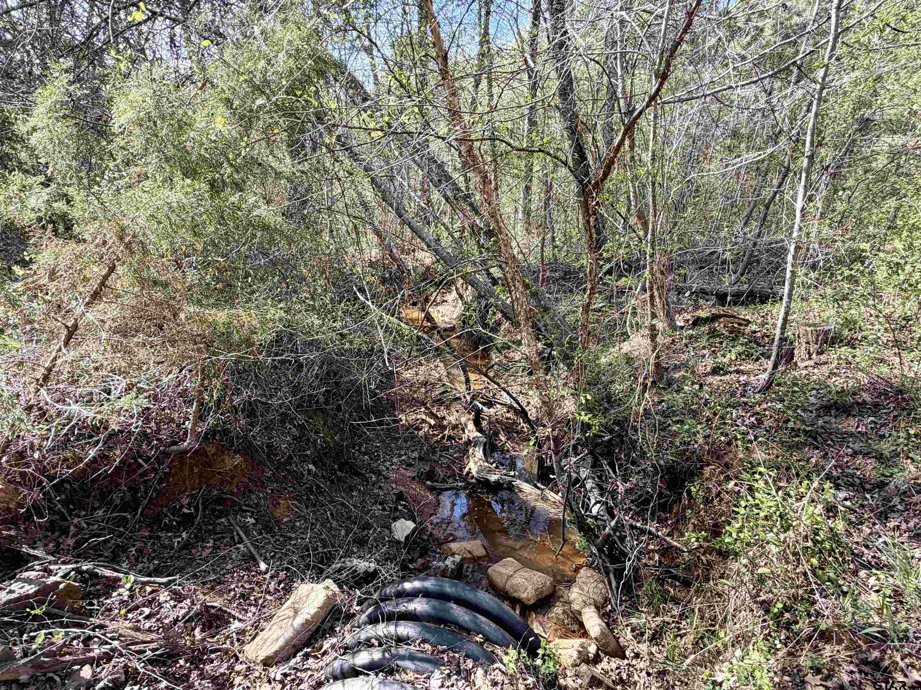 TBD Cactus Rd