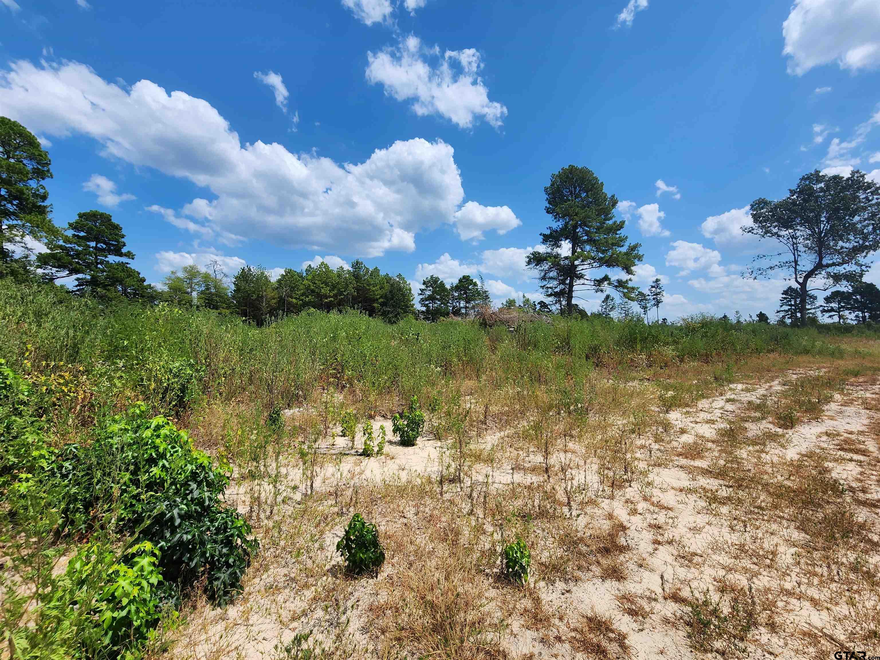 16.5 ACRES TBD CR 1762