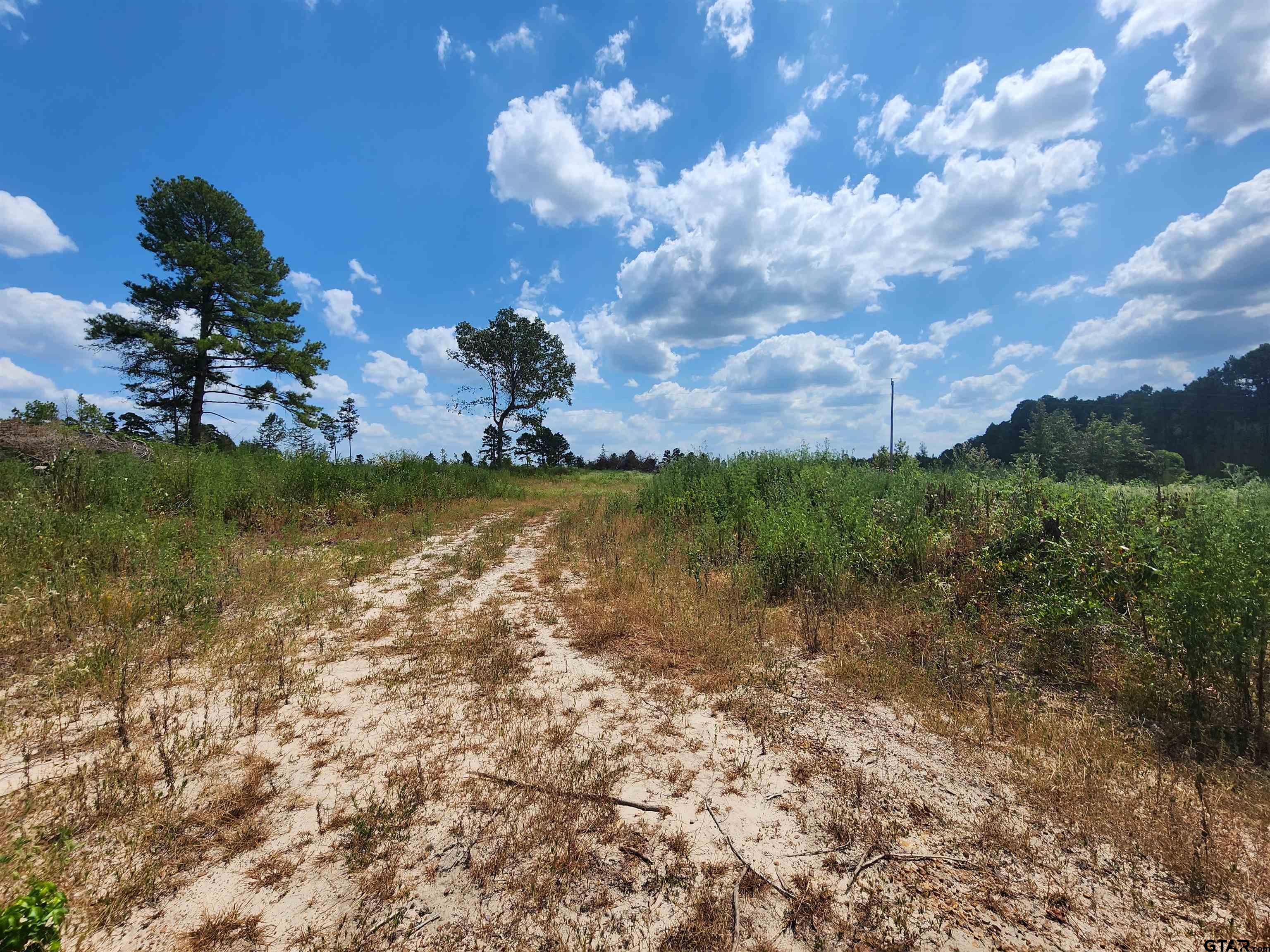 16.5 ACRES TBD CR 1762