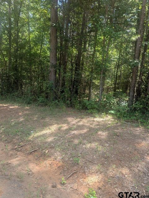 0 Yates St Hawkins TX 75765