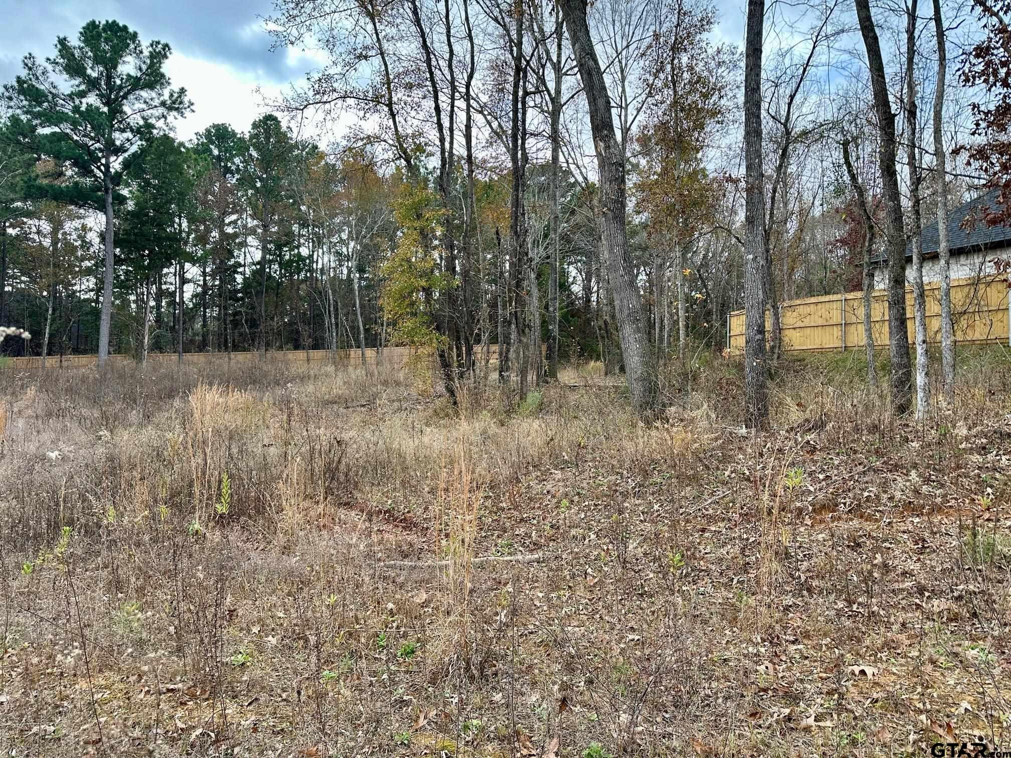 9291 Caddo Ridge Cove