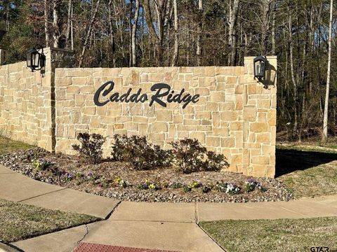 9291 Caddo Ridge Cove Tyler TX 75701
