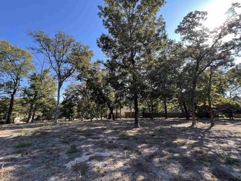 Lot 46 BLK 2 CR 2310 Mineola TX 75773