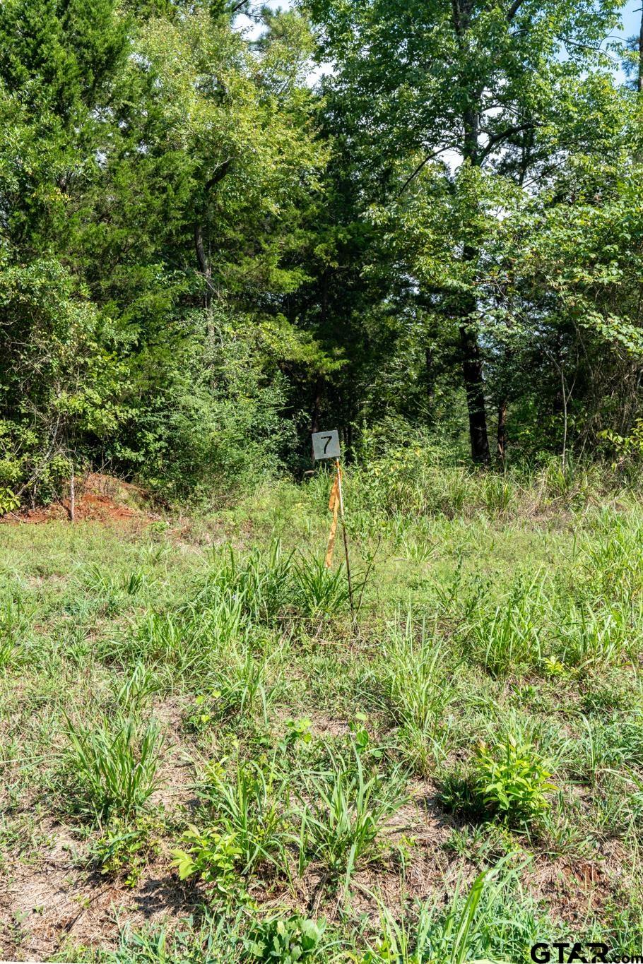 TBD Tract 7 Moser Ln
