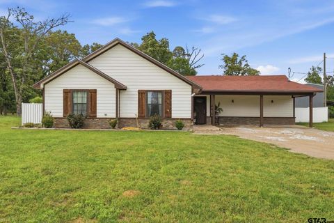 1933 hwy 11 Pittsburg TX 75686