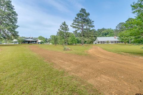 9689 E FM 837 Palestine TX 75803