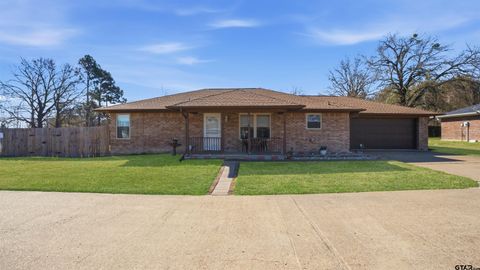 221 Private Road 8774 Ben Wheeler TX 75754