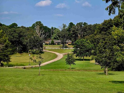 7991 FM 314 Ben Wheeler TX 75754