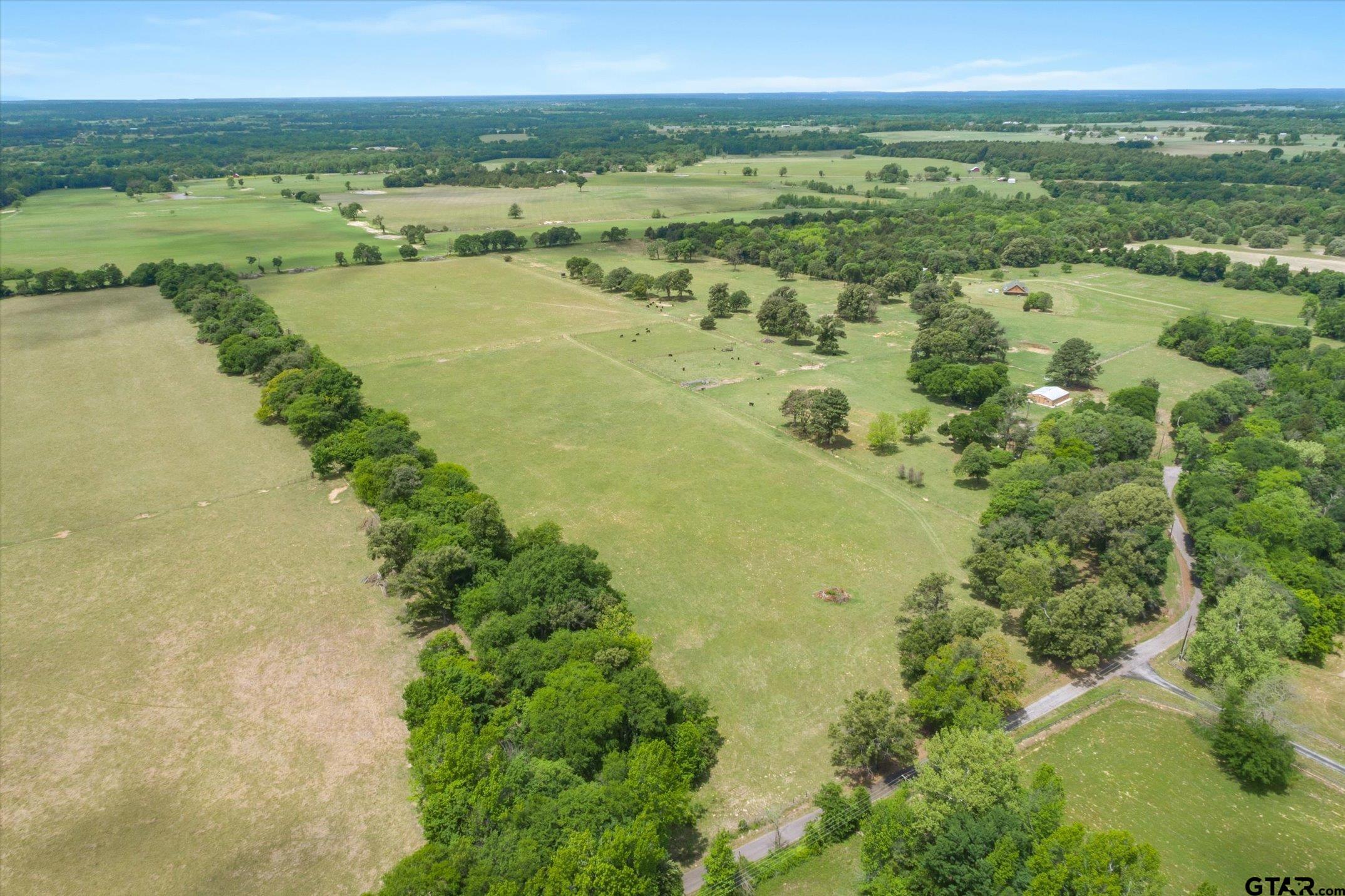 20+/- Acres VZ County Road 4412 - Photo 4