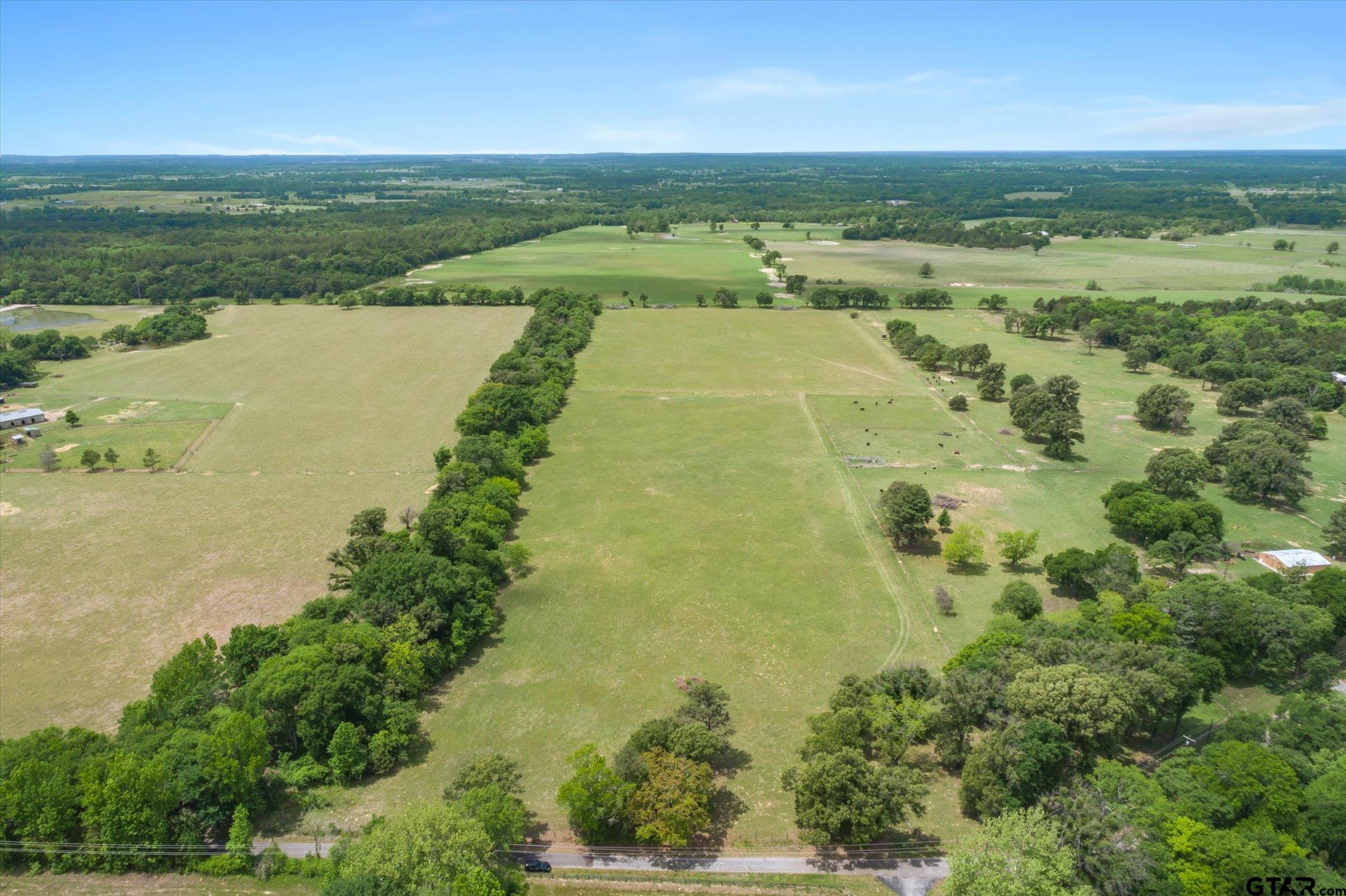 20+/- Acres VZ County Road 4412 - Photo 3
