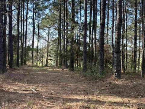 TBD 34.5 ACRES Fm 2274, Troup, TX 75789 - MLS#: 25003995