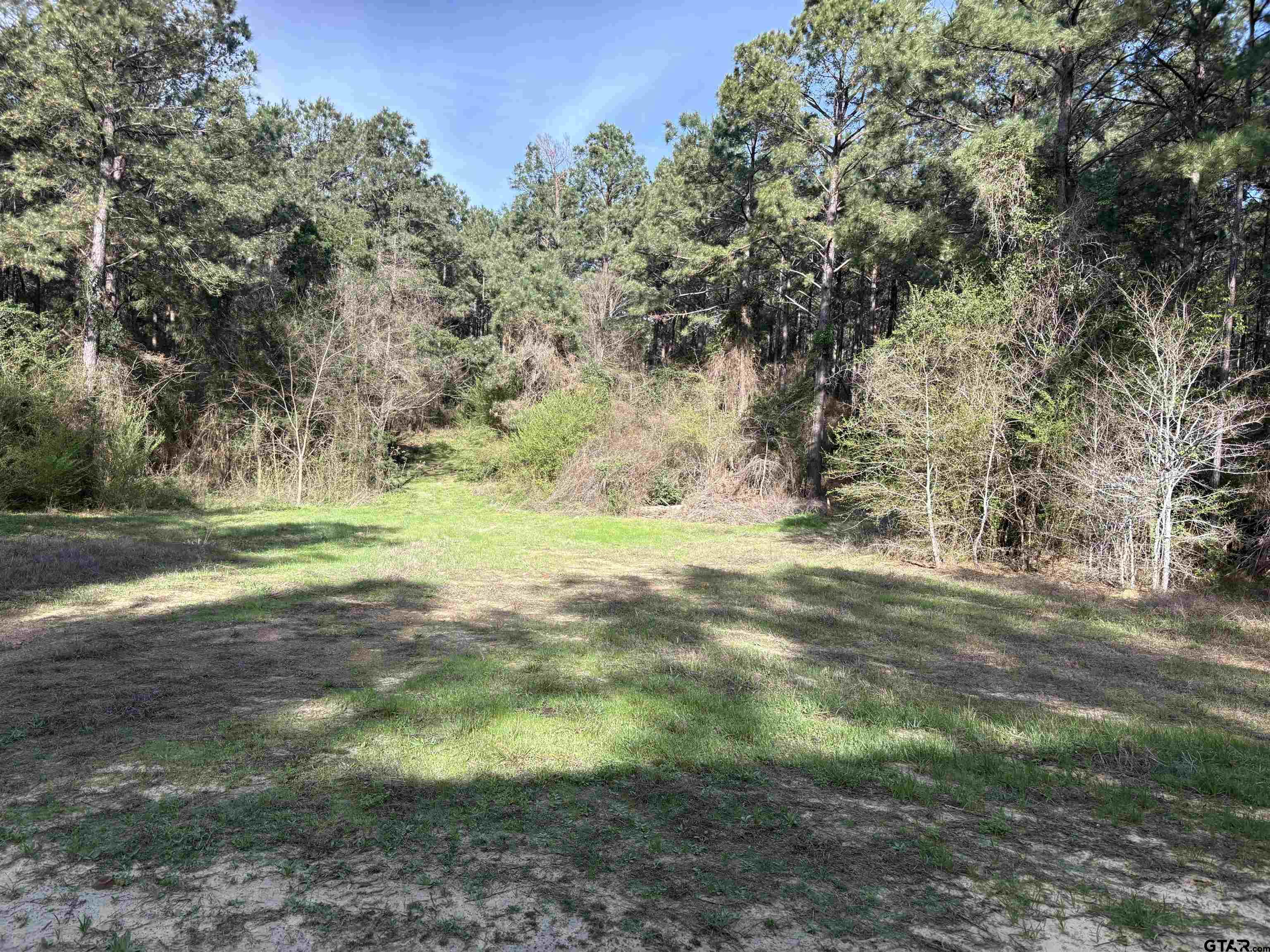 TBD 34.5 ACRES FM 2274