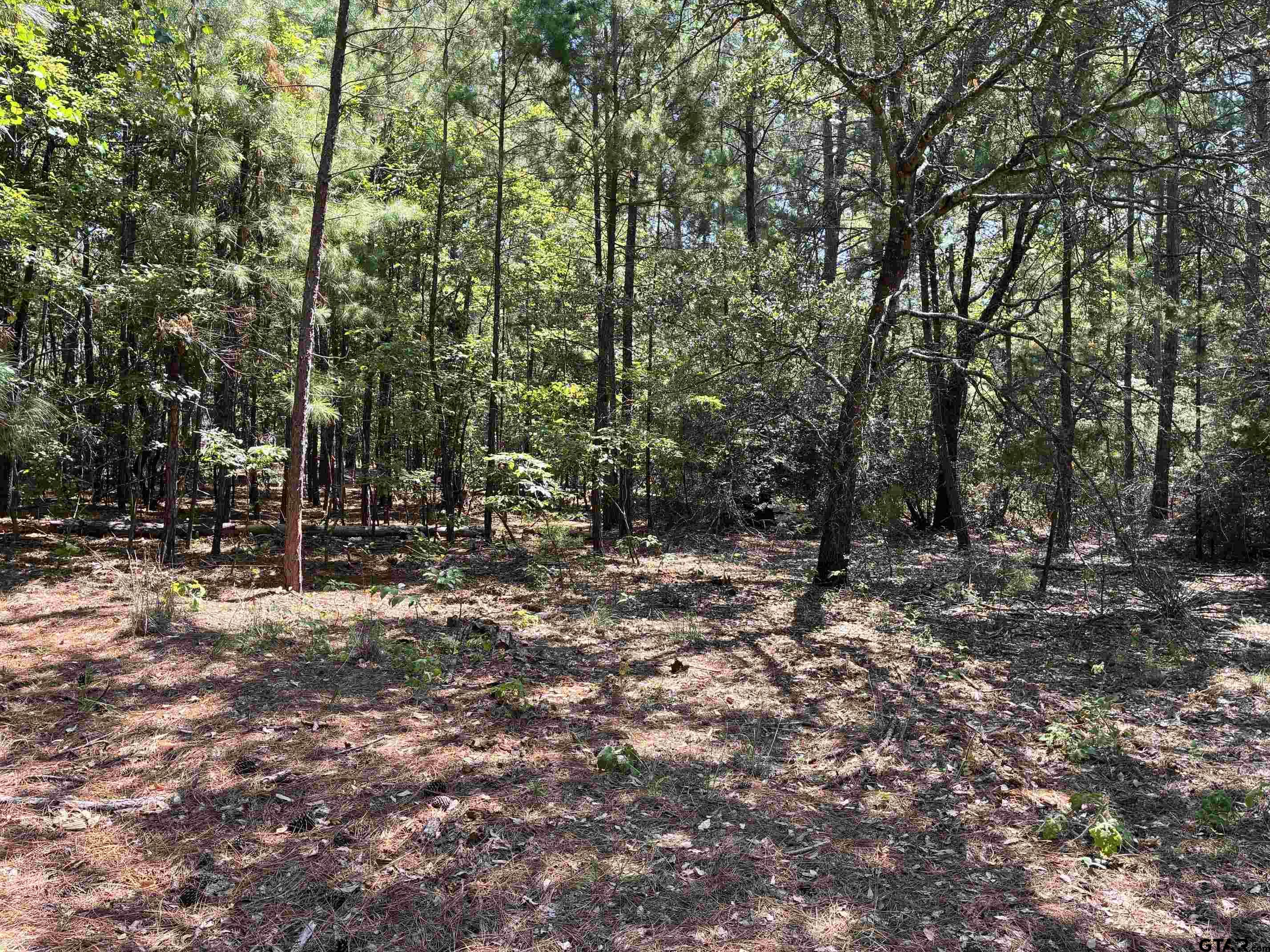 Lot 195 Green Meadow Trail