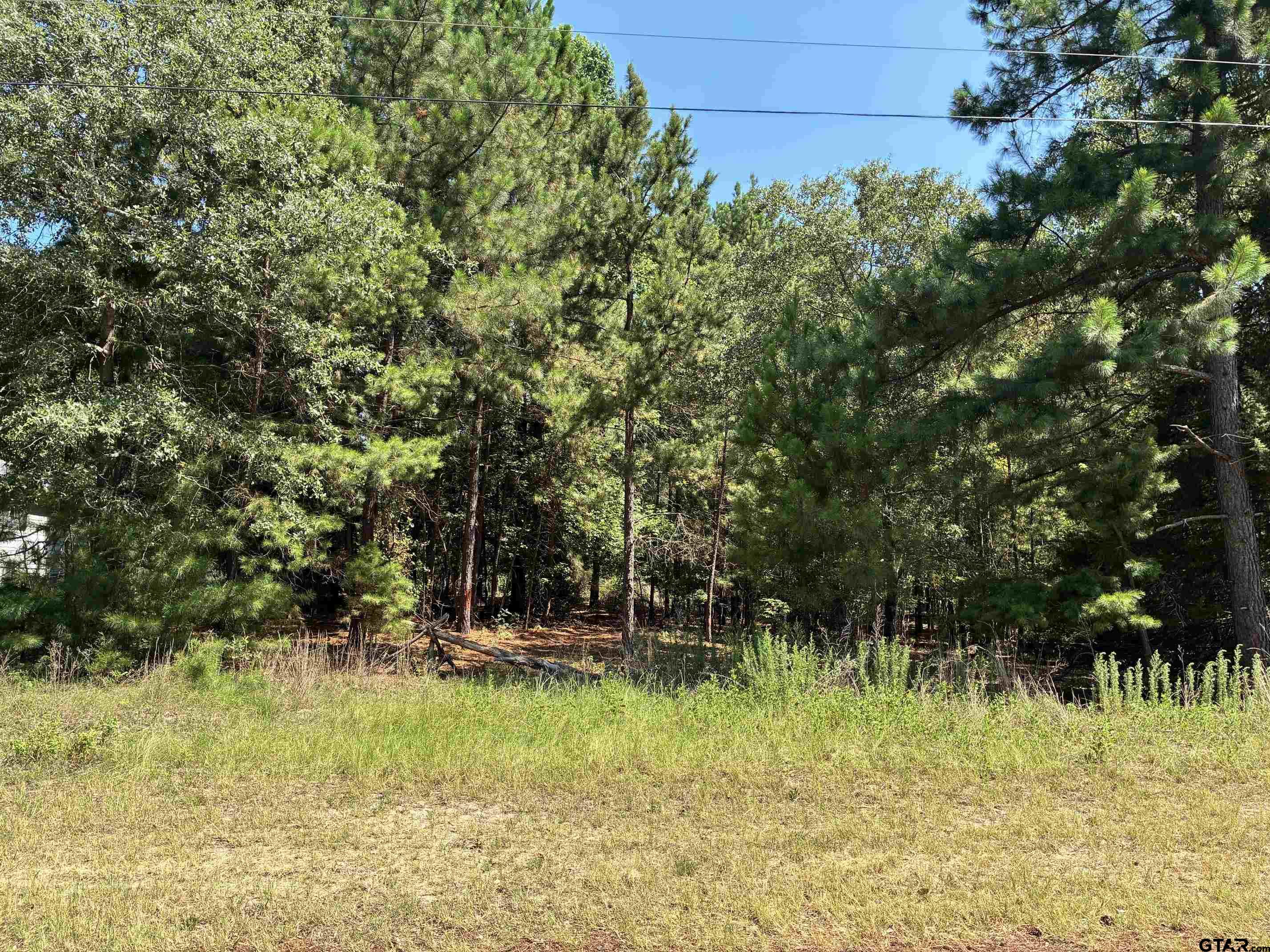 Lot 195 Green Meadow Trail