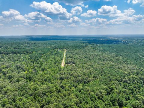 229 Pr 3900 Rd Gilmer TX 75644