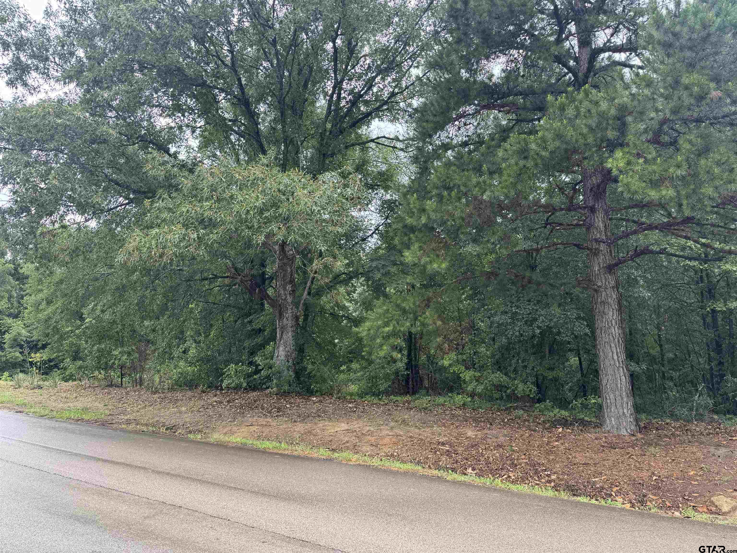 18029 County Road 4108