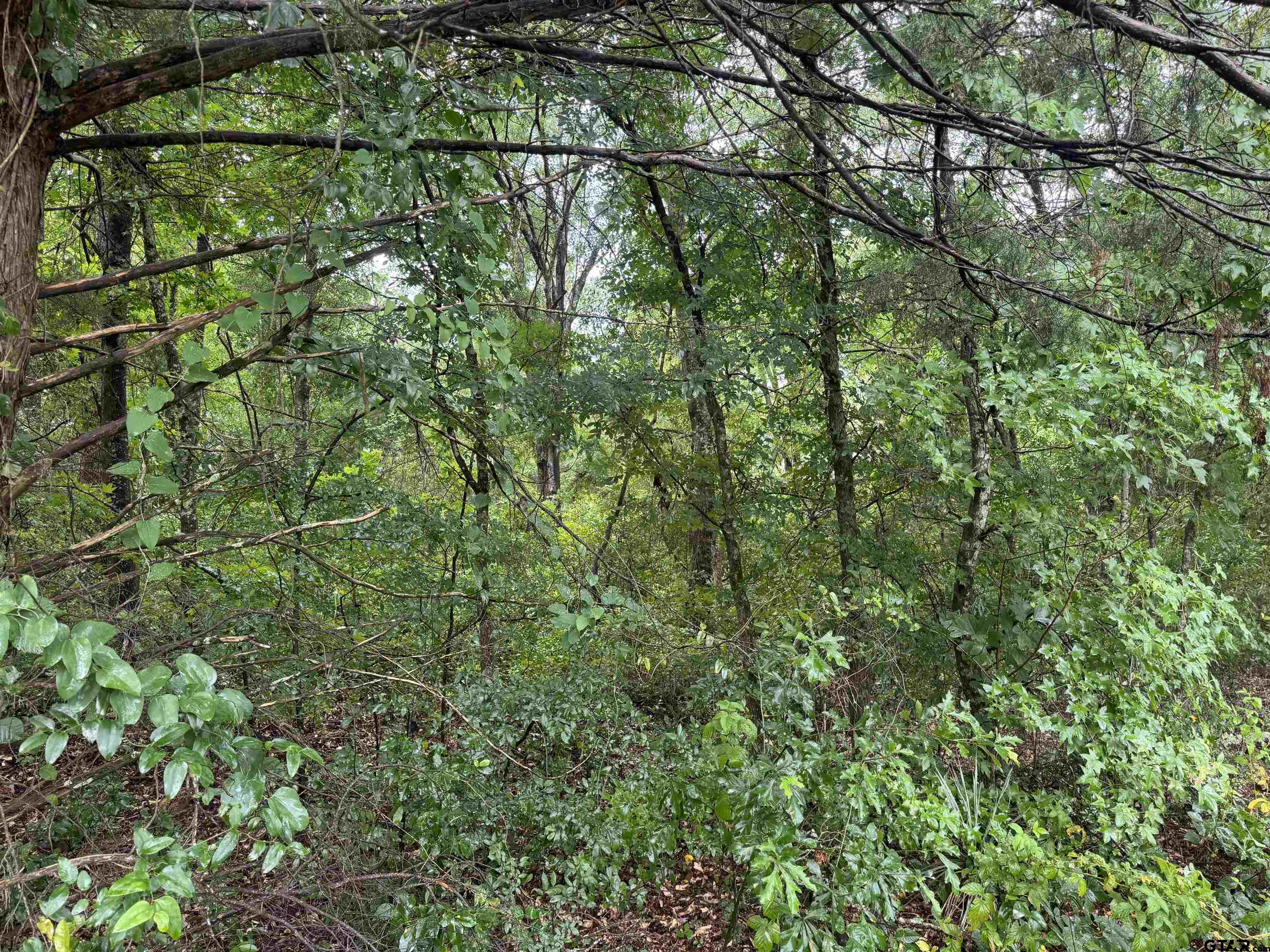 18029 County Road 4108