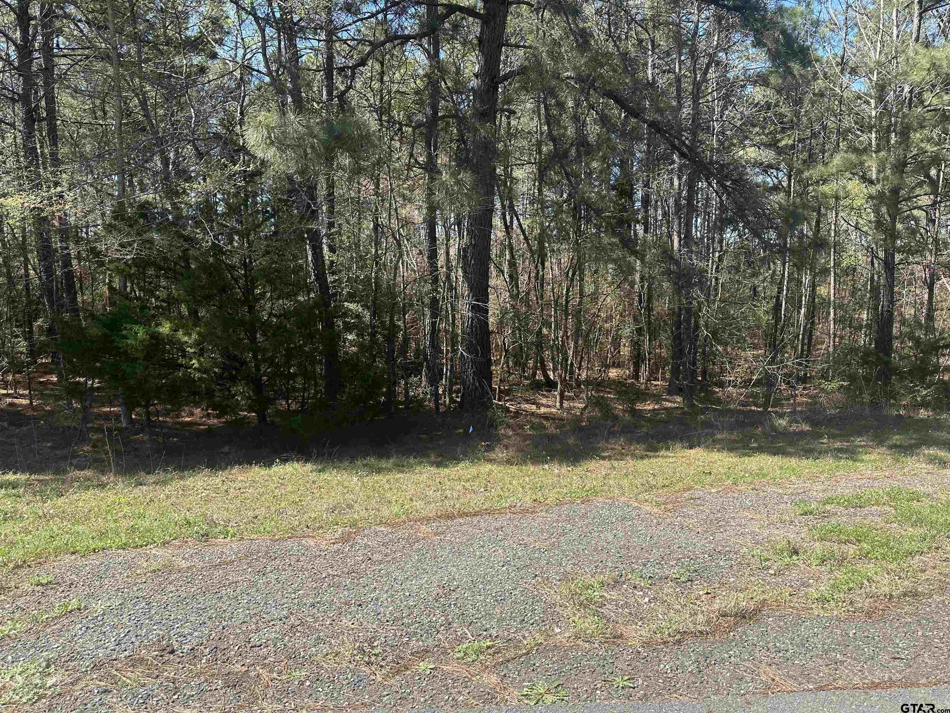 Photo 1 of 4 — 411 Cherokee Cove Dr., Jacksonville, TX 75766
