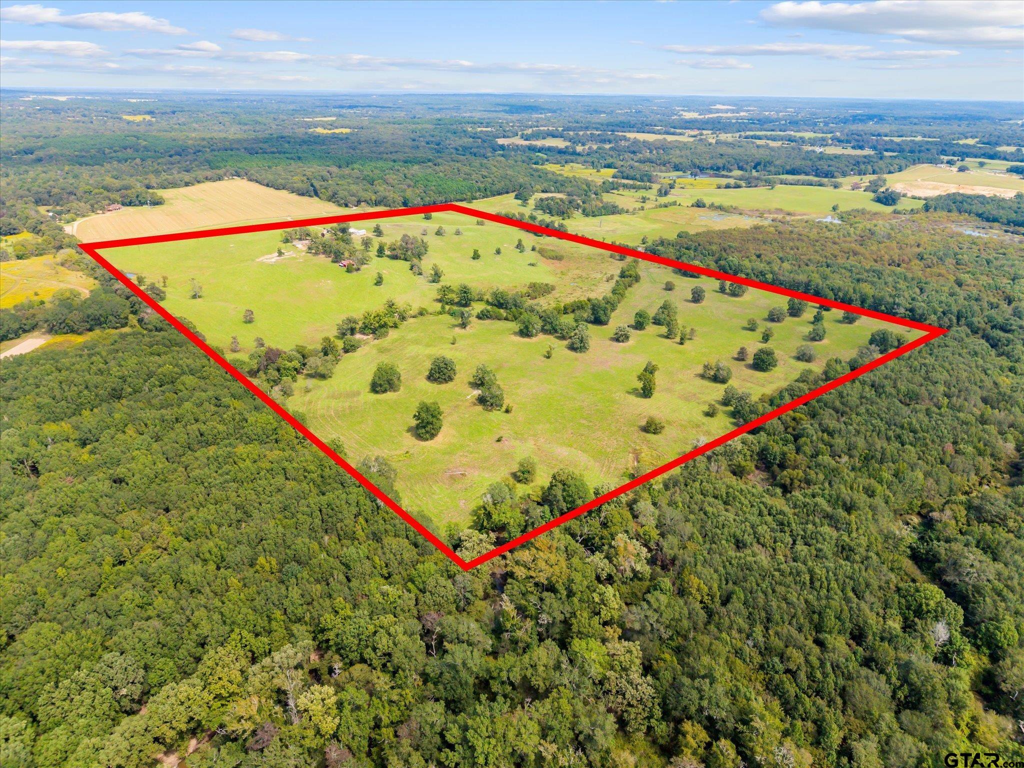 11990 County Road 3513